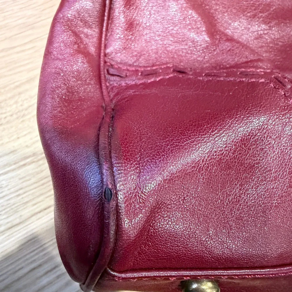 Isabella Fiore Burgundy Limited Edition Pleats Royale with Gold Accent